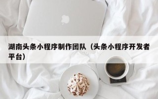 乐陵湖南头条小程序制作团队（头条小程序开发者平台）